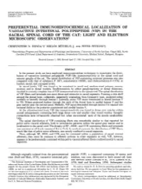 In the Sacral Spinal Cord of the Cat: Light and Electron Microscopic Observations’