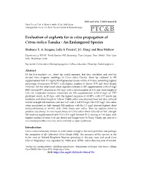 PTC&B Evaluation of Explants for in Vitro Propagation of Citrus Indica
