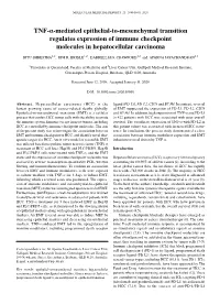 TNF‑Α‑Mediated Epithelial‑To‑Mesenchymal Transition Regulates Expression of Immune Checkpoint Molecules in Hepatocellular Carcinoma