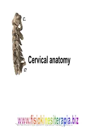 Cervical Anatomy Overview: Building the Cervical Spine • Atlas •Axis • Ligaments • Muscles •Fascia • the Vert • and How to Apply to Common Cases Atlas