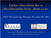 Mycobacterium Bovis : About a Case