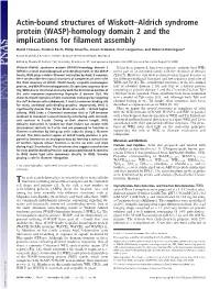 Actin-Bound Structures of Wiskott–Aldrich Syndrome Protein (WASP)-Homology Domain 2 and the Implications for Filament Assembly