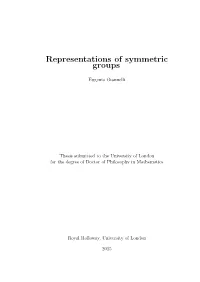 Representations of Symmetric Groups