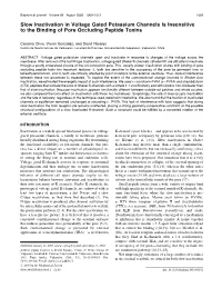 Slow Inactivation in Voltage Gated Potassium Channels Is Insensitive to the Binding of Pore Occluding Peptide Toxins