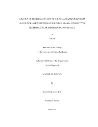 A Review of the Species Status of the Angayukaksurak Charr