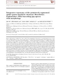 Integrative Taxonomy of the Primitively Segmented Spider Genus Ganthela (Araneae: Mesothelae: Liphistiidae): DNA Barcoding Gap Agrees with Morphology