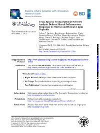Nephritis Responses in Murine and Human Lupus Analysis Defines