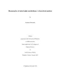 Bioenergetics of Mixotrophic Metabolisms: a Theoretical Analysis
