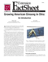 Growing American Ginseng in Ohio: an Introduction