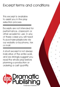 Excerpt Terms and Conditions