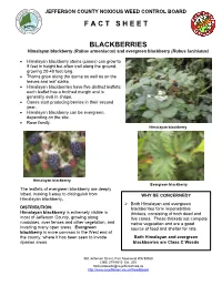 F a C T S H E E T Blackberries