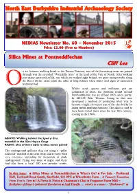 NEDIAS Newsletter No 60 November 2015 (Web Version)