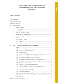 Report Template