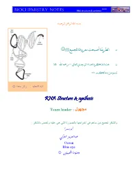 RNA Structure & Synthesis