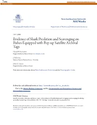 Evidence of Shark Predation and Scavenging on Fishes Equipped with Pop-Up Satellite Archival Tags David W