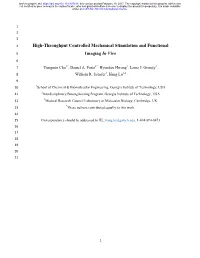 High-Throughput Controlled Mechanical Stimulation and Functional