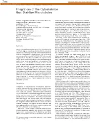 Integrators of the Cytoskeleton That Stabilize Microtubules