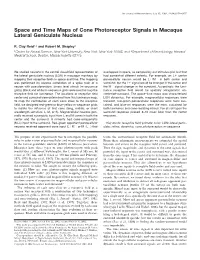 Space and Time Maps of Cone Photoreceptor Signals in Macaque Lateral Geniculate Nucleus