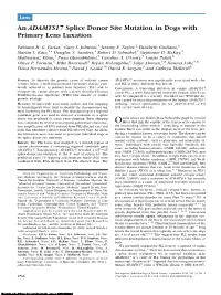 An ADAMTS17 Splice Donor Site Mutation in Dogs with Primary Lens Luxation