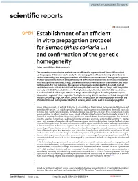 Establishment of an Efficient in Vitro Propagation Protocol for Sumac