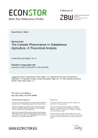 The Cobweb Phenomenon in Subsistence Agriculture: a Theoretical Analysis