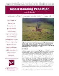 Understanding Predation