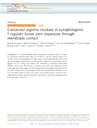 Conserved Arginine Residues in Synaptotagmin 1 Regulate Fusion Pore Expansion Through Membrane Contact
