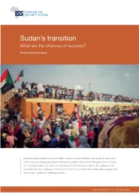 Sudan's Transition: What Are the Chances of Success?