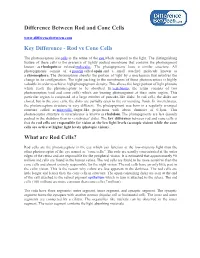 Difference Between Rod and Cone Cells Key Difference