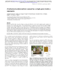 A Behavioral Polymorphism Caused by a Single Gene Inside a Supergene