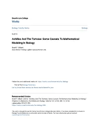 Achilles and the Tortoise: Some Caveats to Mathematical Modeling in Biology