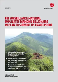 FBI Surveillance Material Implicates Diamond Billionaire in Plan to Subvert US Fraud Probe