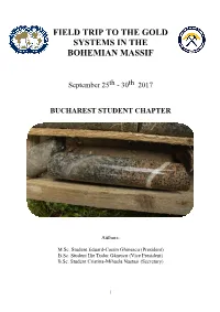 Field Trip to the Gold Systems in the Bohemian Massif