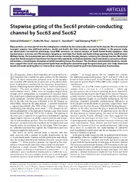 Stepwise Gating of the Sec61 Protein-Conducting Channel by Sec63 and Sec62