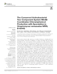 The Conserved Actinobacterial Two-Component System Mtrab