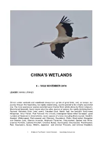 China's Wetlands