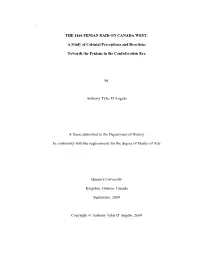 THE 1866 FENIAN RAID on CANADA WEST: a Study Of