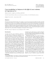 Cone Morphology in Juniperus in the Light of Cone Evolution in Cupressaceae S.L