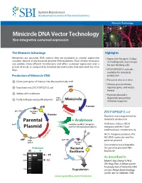 Minicircle DNA Vector Technology Non-Integrative Sustained Expression