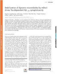 Stabilization of Dynamic Microtubules by Mdia1 Drives Tau-Dependent Aβ1–42 Synaptotoxicity