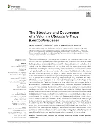 The Structure and Occurrence of a Velum in Utricularia Traps (Lentibulariaceae)