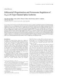 Differential Ubiquitination and Proteasome Regulation of Cav 2.2 N-Type Channel Splice Isoforms