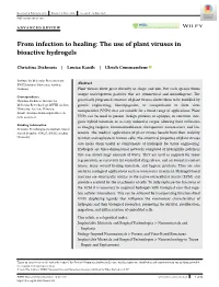 From Infection to Healing: the Use of Plant Viruses in Bioactive Hydrogels