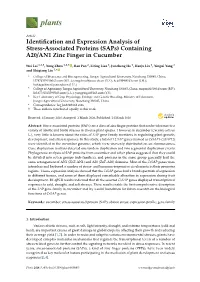Identification and Expression Analysis of Stress-Associated Proteins