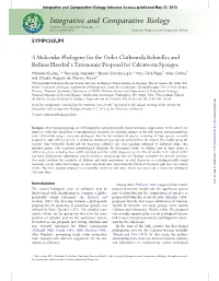 Integrative and Comparative Biology Advance Access Published May 23, 2013 Integrative and Comparative Biology Integrative and Comparative Biology, Pp