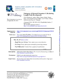 Lymph Node Development Ontogeny of Stromal Organizer Cells During
