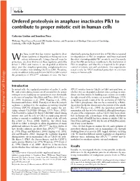 Ordered Proteolysis in Anaphase Inactivates Plk1