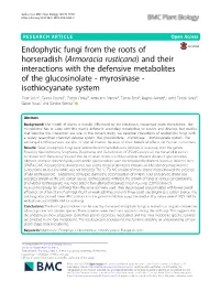 Endophytic Fungi from the Roots of Horseradish (Armoracia Rusticana)