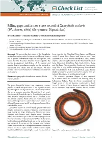 Xenopholis Scalaris (Wucherer, 1861) (Serpentes: Dipsadidae)