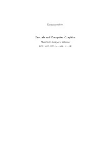 Examensarbete Fractals and Computer Graphics Meritxell